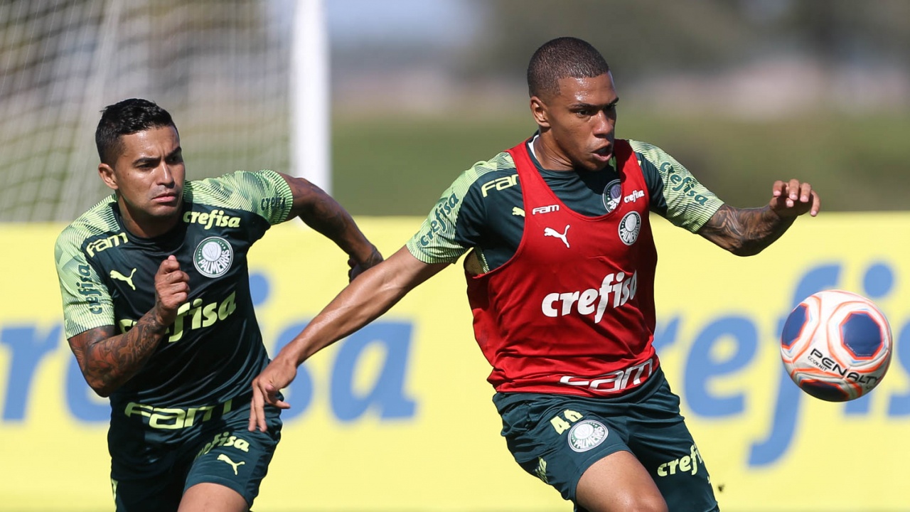 Palmeiras Verd O Ltimas Not Cias E Pr Ximos Jogos Jovem Pan