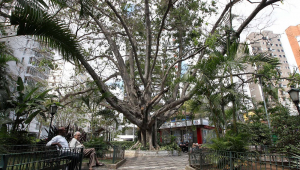 Praça Vilaboim com uma grande árvore, dois idosos sentados em um banco e uma banca de jornal