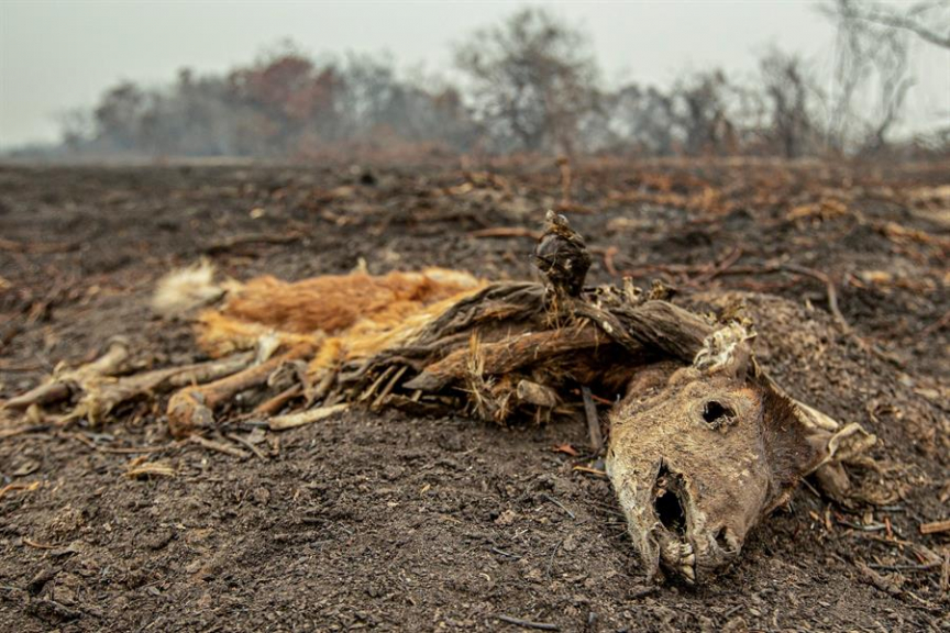 Inc Ndio No Pantanal Fogo Frio Poderia Ser Usado Para Combater