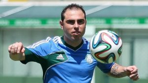 Cesar Greco/Palmeiras/Divulgação