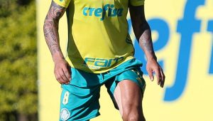 Divulgação / Cesar Greco / Ag Palmeiras