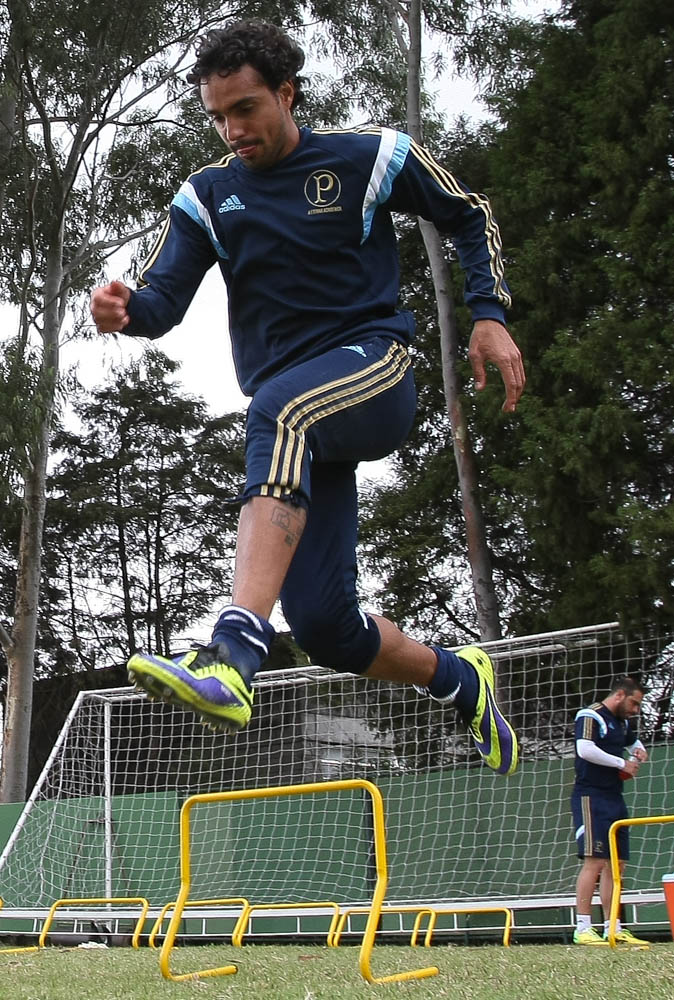 Cesar Greco/Ag. Palmeiras/Divulgação