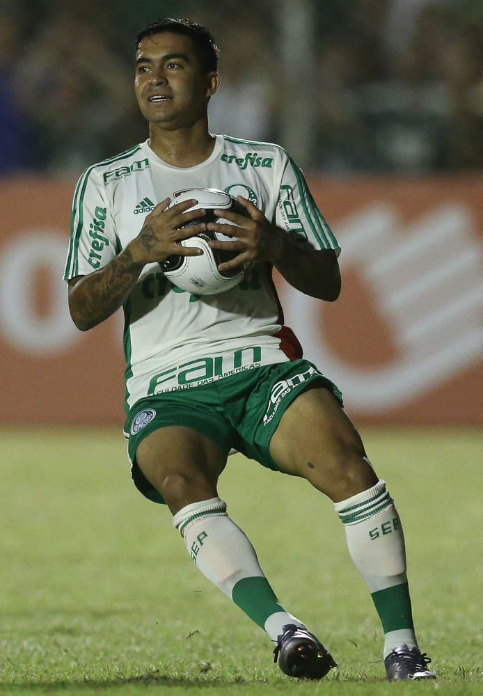 Cesar Greco/Ag. Palmeiras/Divuglação