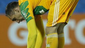 Cesar Greco/Ag. Palmeiras/Divuglação