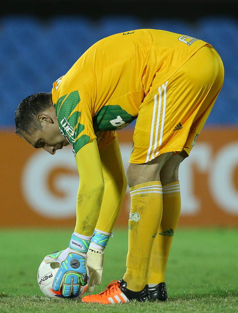 Cesar Greco/Ag. Palmeiras/Divuglação