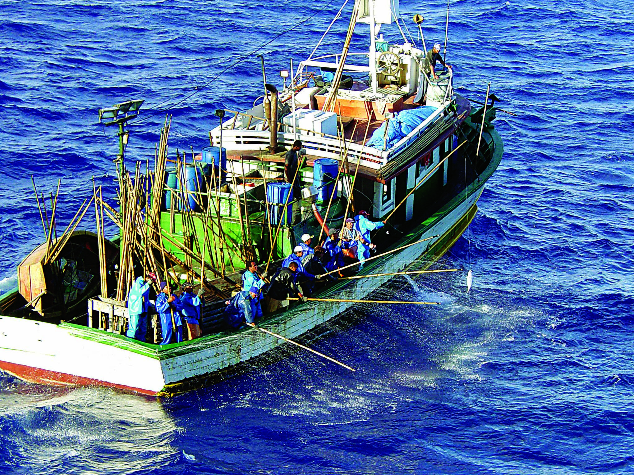 Divulgação/ Ministério da Pesca