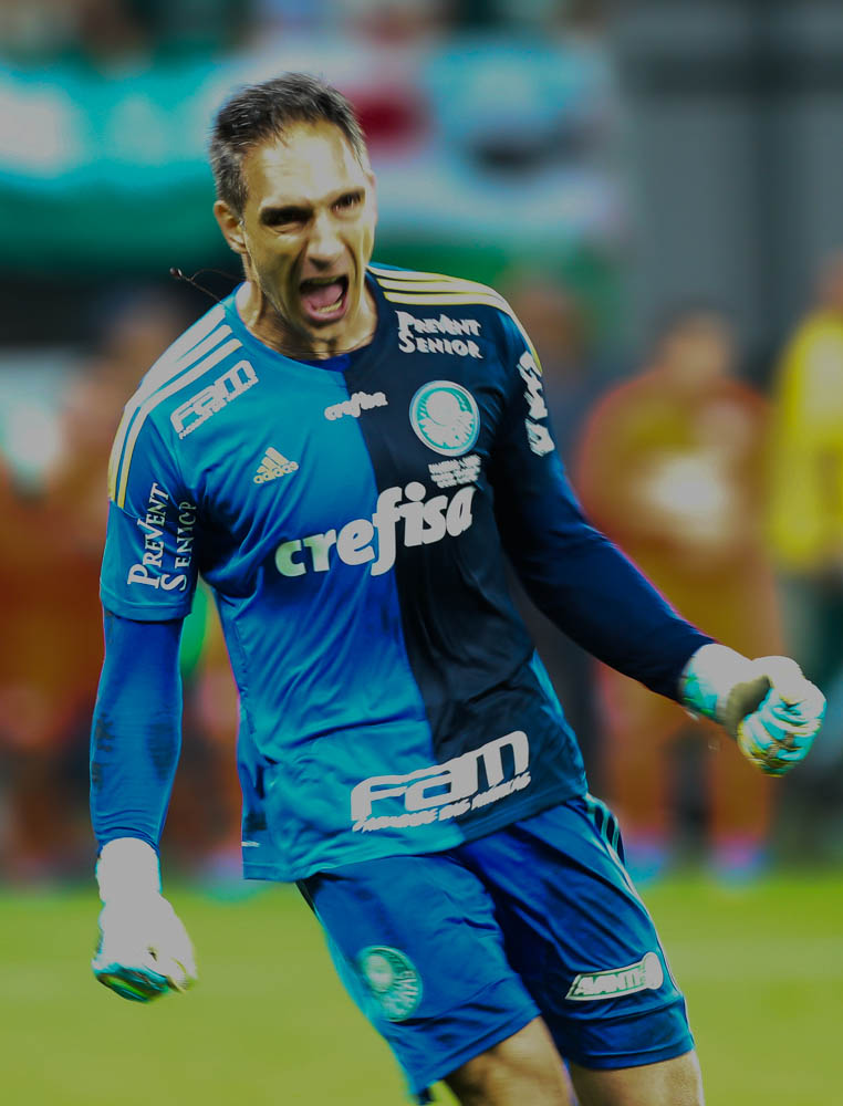 Cesar Greco/Ag.Palmeiras/Divulgação