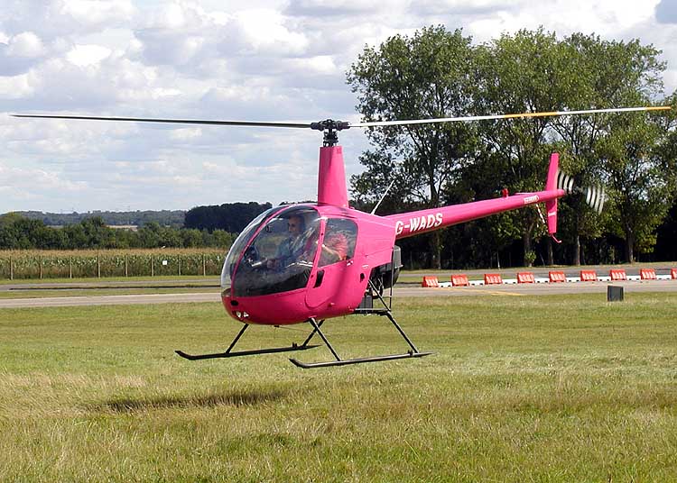 G1 - Adolescente holandês constrói 'rato helicóptero' após roedor