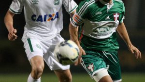 Palmeiras/Divulgação