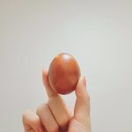 O ovo, desde que bem utilizado, é um bom alimento