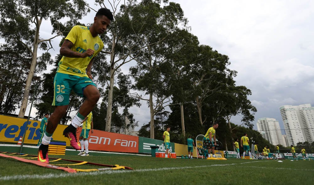 Cesar Grego/Palmeiras/Divulgação