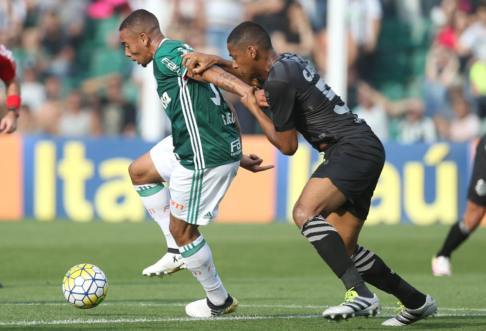 Cesar Greco/Agência Palmeiras