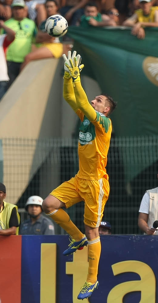 Cesar Greco/Ag. Palmeiras/Divulgação