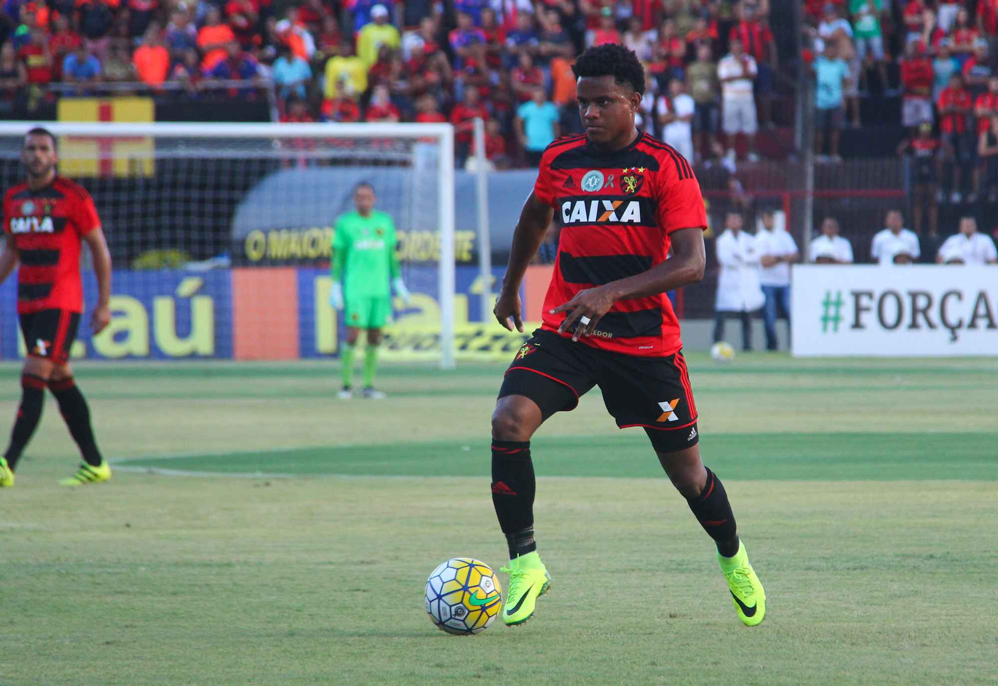 Divulgação / Williams Aguiar / Sport Club do Recife