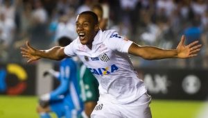 Ivan Storti/Santos F.C./Divulgação