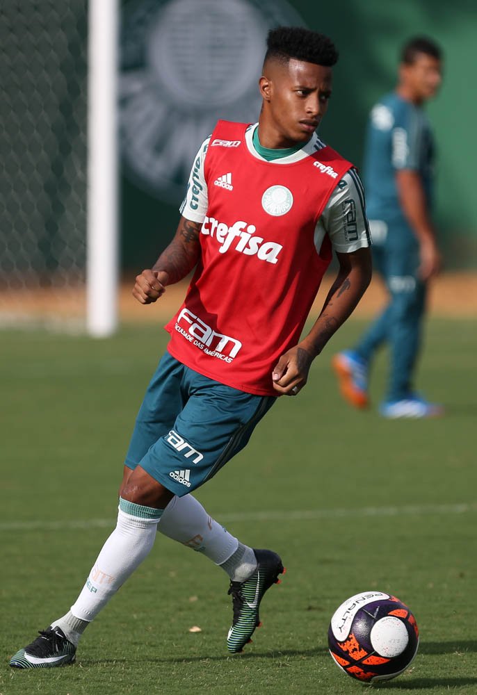 Cesar Greco / Palmeiras