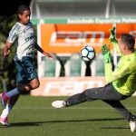 Palmeiras vai vencer o Cruzeiro pela Copa do Brasil?