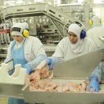Brasil promete questionar medidas contra exportação de carne