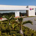 BRF recupera mercado, apontam Nielsen e XP