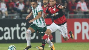 Cesar Greco / Agência Palmeiras / Divulgação