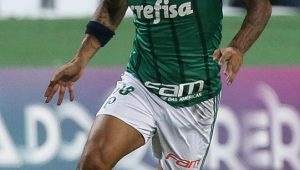 César Greco / Agência Palmeiras / Divulgação