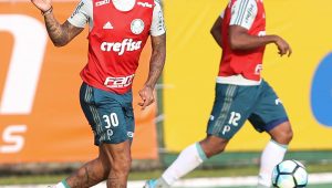 Divulgação / Cesar Greco / Agência Palmeiras
