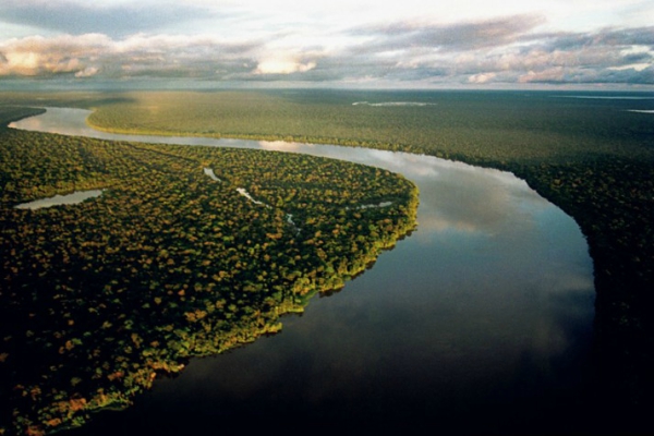 Reprodução/Instituto Amazônia