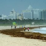 Flórida é o pior estado dos EUA para quem vive de aluguel; crise vai além do preço, diz estudo