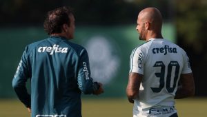 César Grego / Agência Palmeiras / Divulgação