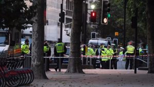 Polícia inglesa investiga causas do atropelamento nas proximidades do Museus de História Natural de Londres