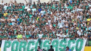 Futebol Campeonato Brasileiro Torcida Palmeiras