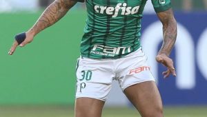 Futebol Palmeiras Felipe Melo