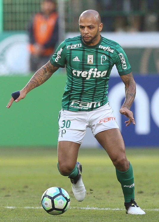 Futebol Palmeiras Felipe Melo