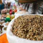 Brasil pode se tornar maior produtor mundial de alimentos até 2027