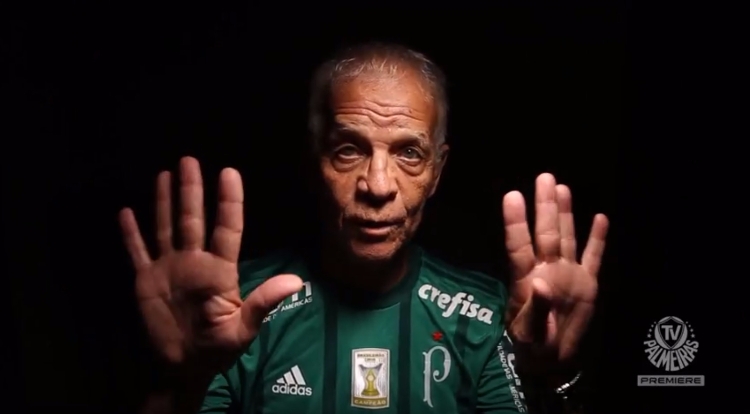 Futebol Campeonato Brasileiro Palmeiras Ademir da Guia Enea