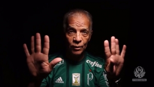 Futebol Campeonato Brasileiro Palmeiras Ademir da Guia Enea