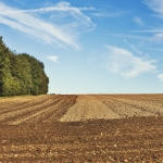 Produtores brasileiros vão à França para aprimorar gestão da cadeia produtiva