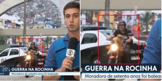 Gato Chiquinho de óculos