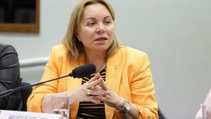 Deputada federal Gorete Pereira