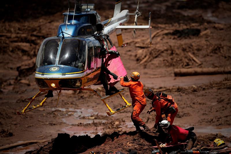 VÍDEO: Bombeiro que trabalhou em Brumadinho mostra resgate emocionante de  cão