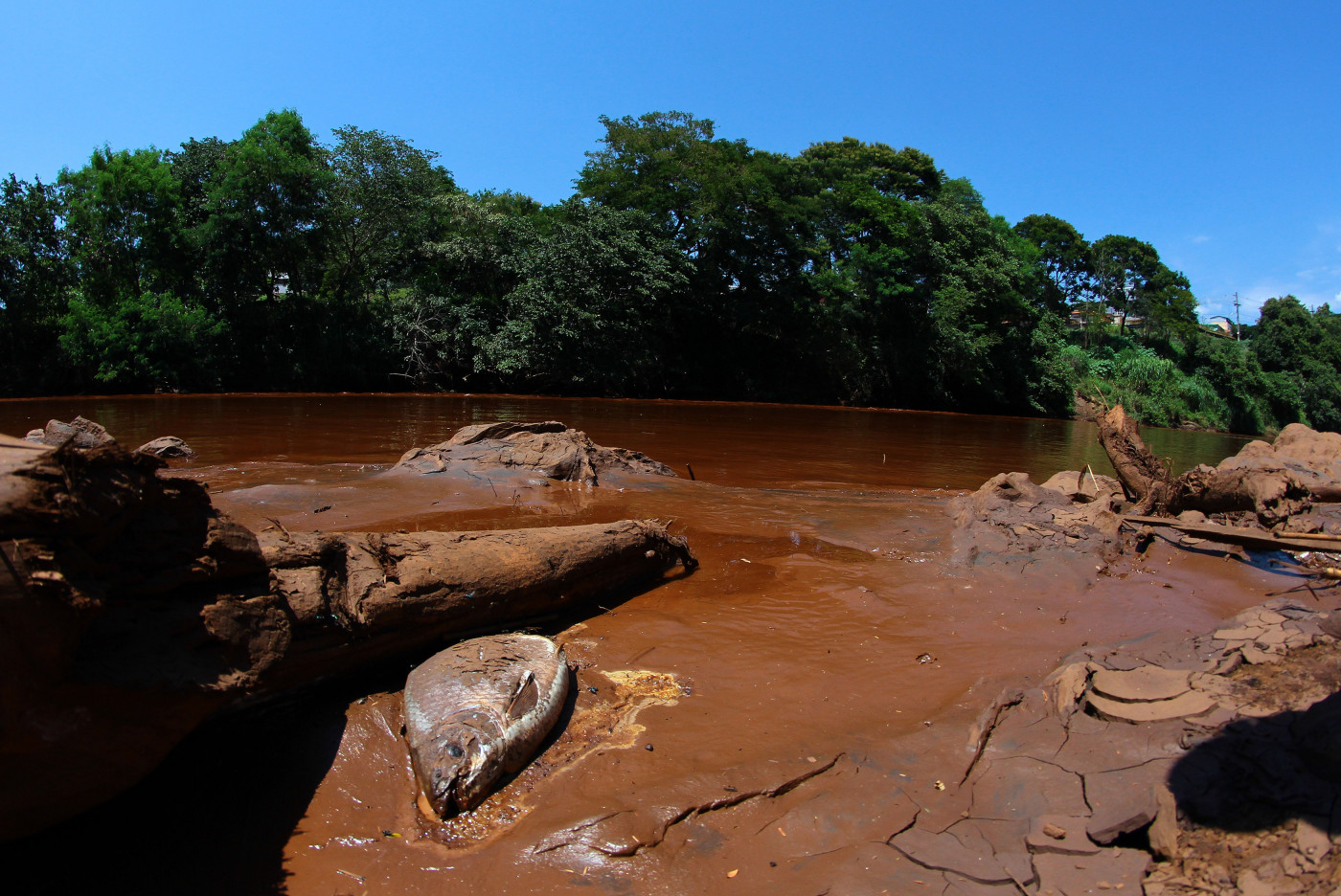 Vereadores visitam sistema de tratamento da Copasa no Rio das