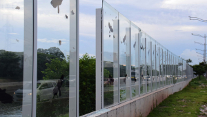 Muros de vidro da USP