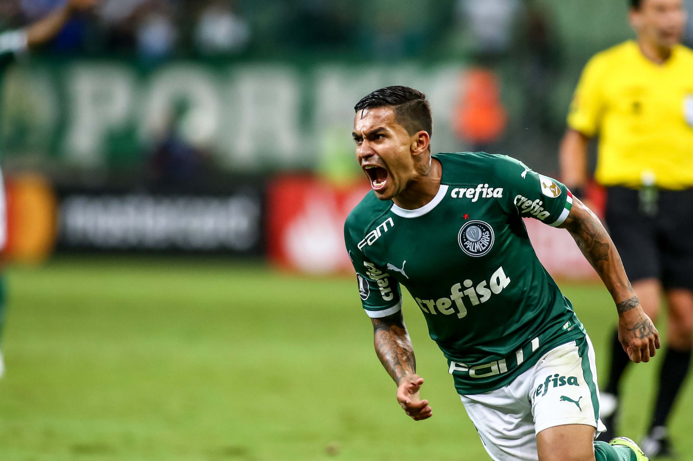 Dudu gritando em jogo do Palmeiras