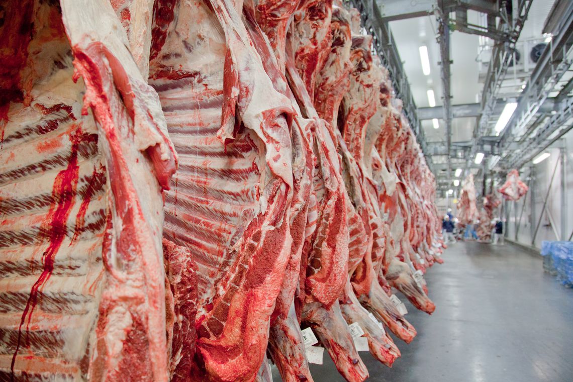 Para retomar as exportações de carne in natura para os Estados Unidos, frigoríficos de bovinos e suínos de seis estados brasileiros -- São Paulo, Minas Gerais, Goiás, Rio Grande do Sul, Santa Catarina e Mato Grosso do Sul -- começam a receber na próxima segunda-feira, dia 10