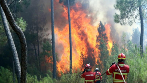Portugal controla parcialmente incêndios florestais e prende suspeito