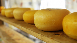 Bolsonaro beneficia produtores de queijo artesanal