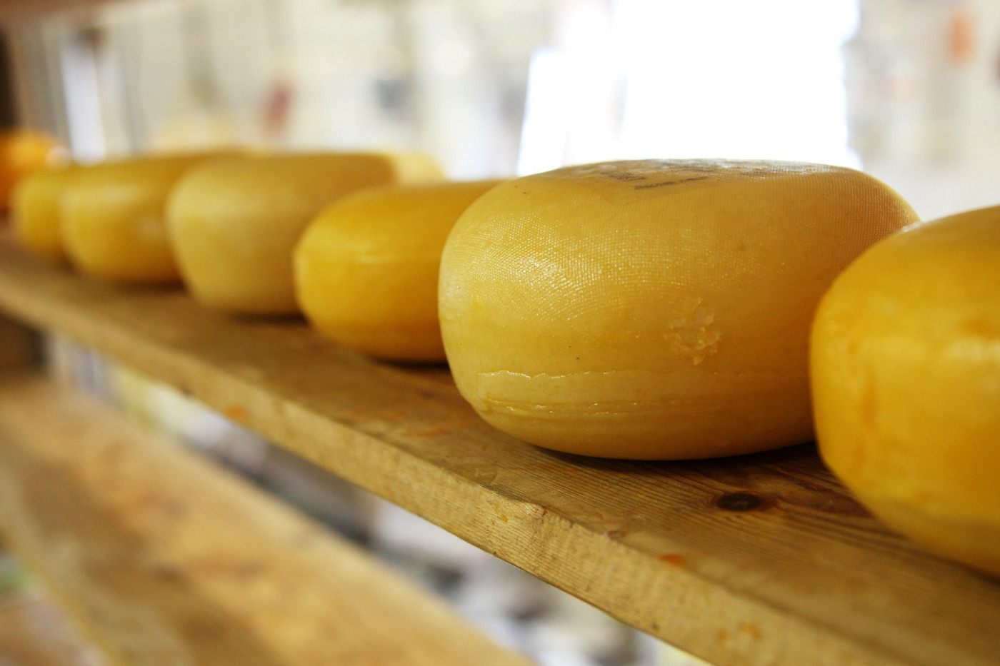 Bolsonaro beneficia produtores de queijo artesanal