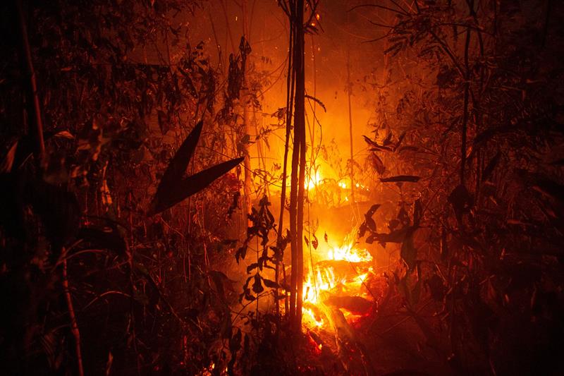 Floresta Amazônica pegando fogo