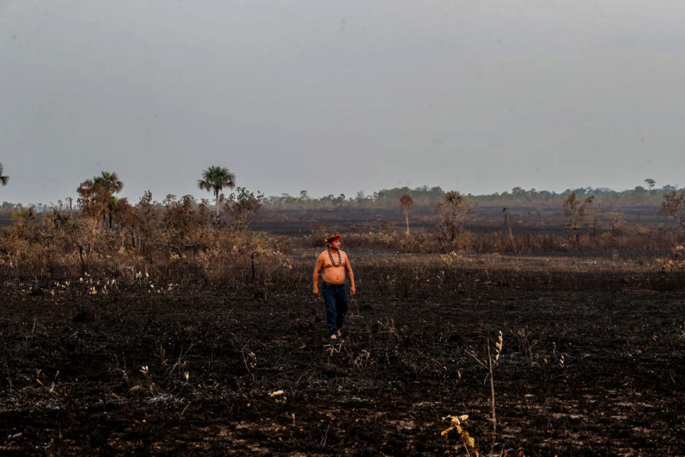Queimadas e desmatamento na Amazônia