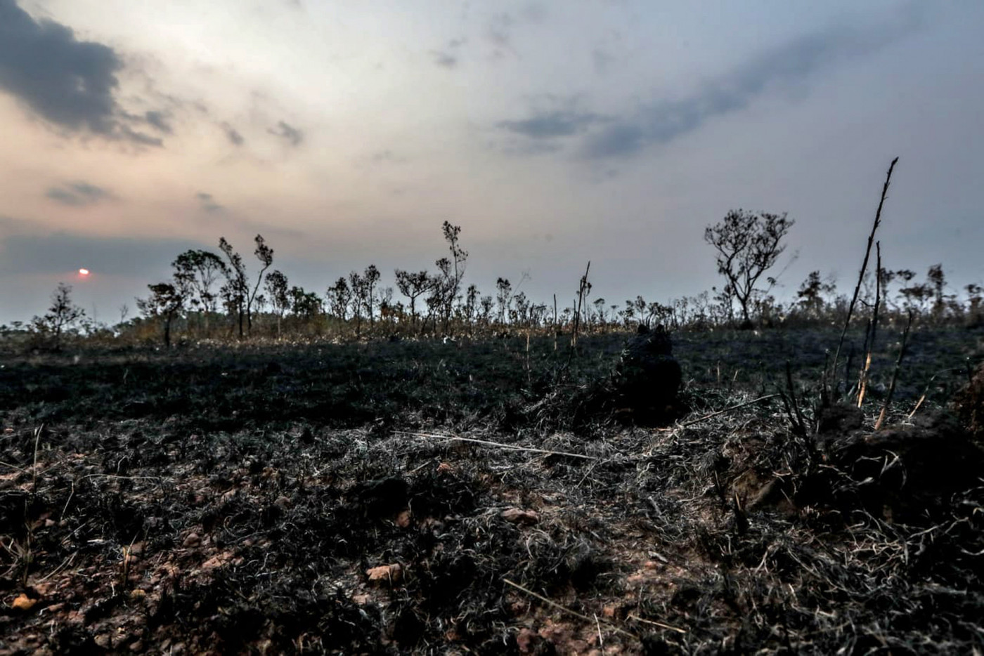 Queimadas e desmatamento na Amazônia